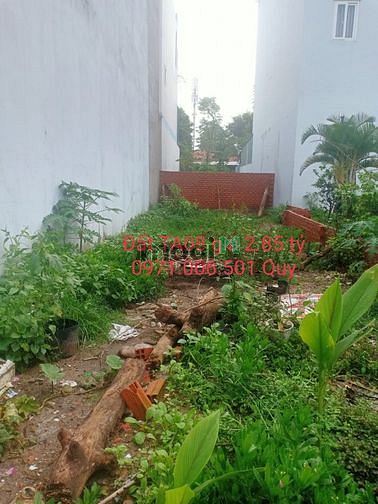 Hình ảnh Bán đất SHR đường TA08, P.Thới An, Q.12, 90m2, giá 2.85 tỷ