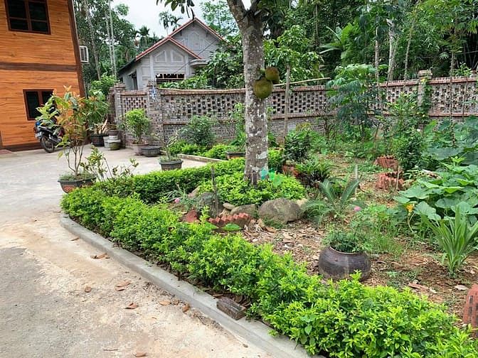 Hình ảnh 'Sống chất hơn khi bỏ phố về quê'  chỉ dưới 2 tỷ cho 5000 m2
