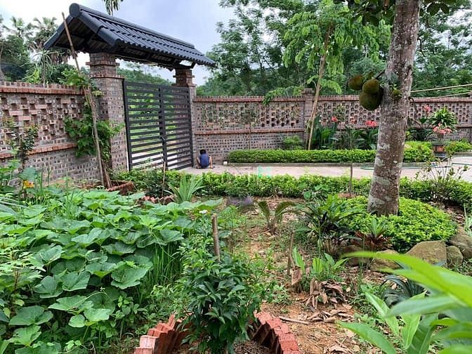 Hình ảnh 'Sống chất hơn khi bỏ phố về quê'  chỉ dưới 2 tỷ cho 5000 m2