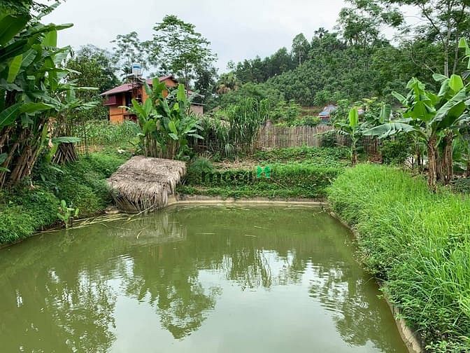 Hình ảnh 'Sống chất hơn khi bỏ phố về quê'  chỉ dưới 2 tỷ cho 5000 m2