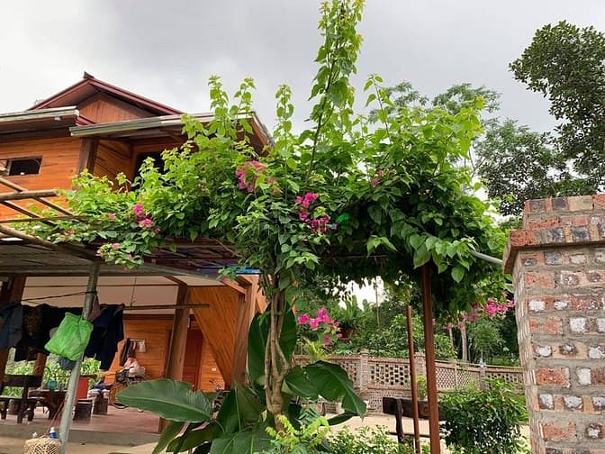 Hình ảnh 'Sống chất hơn khi bỏ phố về quê'  chỉ dưới 2 tỷ cho 5000 m2