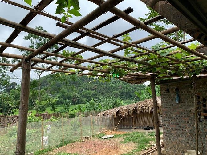 Hình ảnh 'Sống chất hơn khi bỏ phố về quê'  chỉ dưới 2 tỷ cho 5000 m2