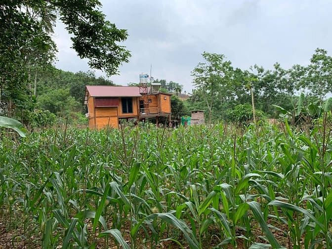 Hình ảnh 'Sống chất hơn khi bỏ phố về quê'  chỉ dưới 2 tỷ cho 5000 m2
