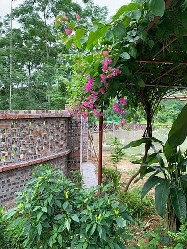 Hình ảnh 'Sống chất hơn khi bỏ phố về quê'  chỉ dưới 2 tỷ cho 5000 m2