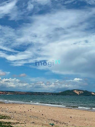 Hình ảnh Bán 1.2ha đất mặt tiền trước đất 6m, xuống bàu 10 phút