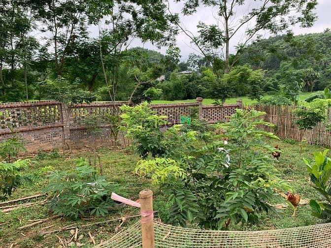 Hình ảnh 'Sống chất hơn khi bỏ phố về quê'  chỉ dưới 2 tỷ cho 5000 m2