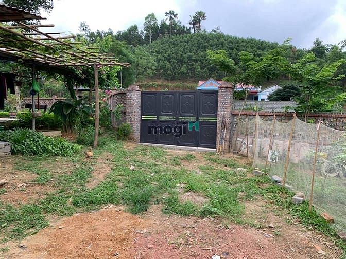 Hình ảnh 'Sống chất hơn khi bỏ phố về quê'  chỉ dưới 2 tỷ cho 5000 m2