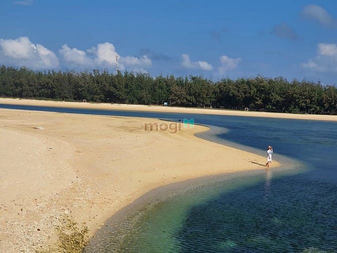Hình ảnh Bán 1.2ha đất mặt tiền trước đất 6m, xuống bàu 10 phút
