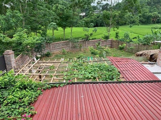 Hình ảnh 'Sống chất hơn khi bỏ phố về quê'  chỉ dưới 2 tỷ cho 5000 m2