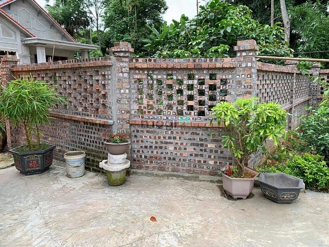 Hình ảnh 'Sống chất hơn khi bỏ phố về quê'  chỉ dưới 2 tỷ cho 5000 m2