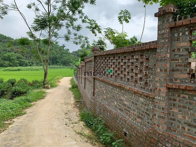 Hình ảnh 'Sống chất hơn khi bỏ phố về quê'  chỉ dưới 2 tỷ cho 5000 m2