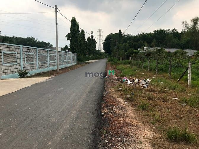Hình ảnh Bán vườn mít gần 1500m2 có sẵn 300m thổ cư ở xã Phạm Văn Cội