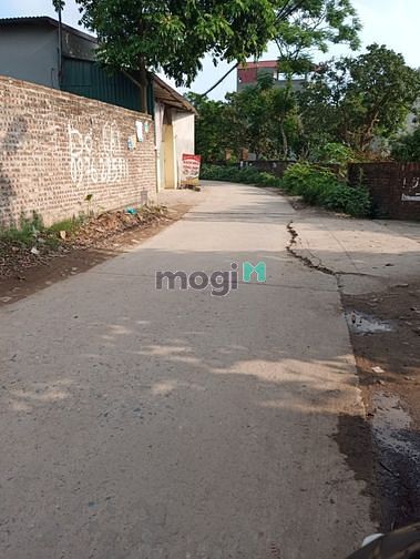 Hình ảnh Bán cực gấp 50m2 đất Hành Lạc, Văn lâm, vị trí rất đẹp, ô tô vào tận