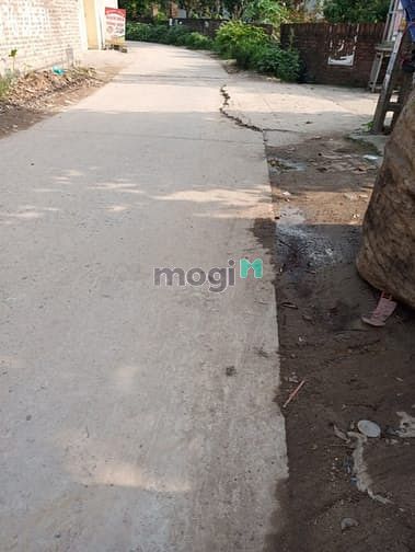 Hình ảnh Bán cực gấp 50m2 đất Hành Lạc, Văn lâm, vị trí rất đẹp, ô tô vào tận
