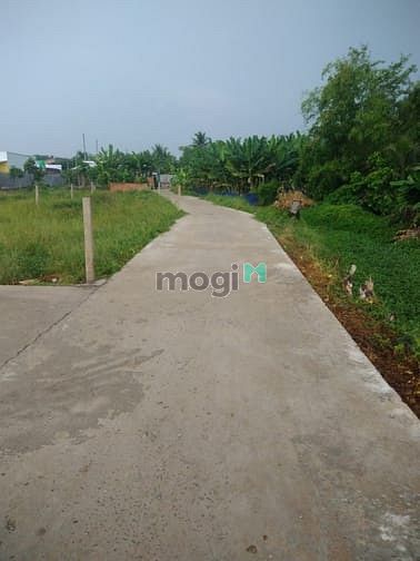 Hình ảnh Đất Cần Giuộc, Long An, Diện tích 102m2, giá chỉ 320tr