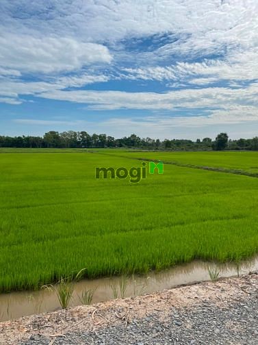 Hình ảnh Cần bán gấp 36.000m2 đất cso thổ cư 1500m2, sổ riêng,