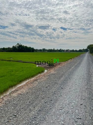 Hình ảnh Cần bán gấp 36.000m2 đất cso thổ cư 1500m2, sổ riêng,