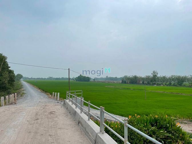 Hình ảnh Cần bán gấp 36.000m2 đất cso thổ cư 1500m2, sổ riêng,