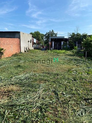 Hình ảnh Bán Đất Phường Trảng Dài 11x29 (347m2) Sổ Hồng Riêng Quy Hoạch Đất Ở