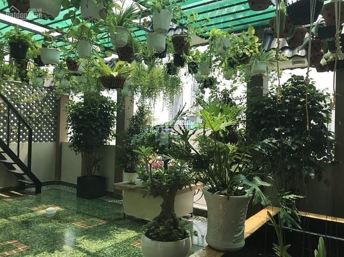 Hình ảnh Siêu vị trí nhà đẹp đường số 3, phường Bình An, Quận 2.