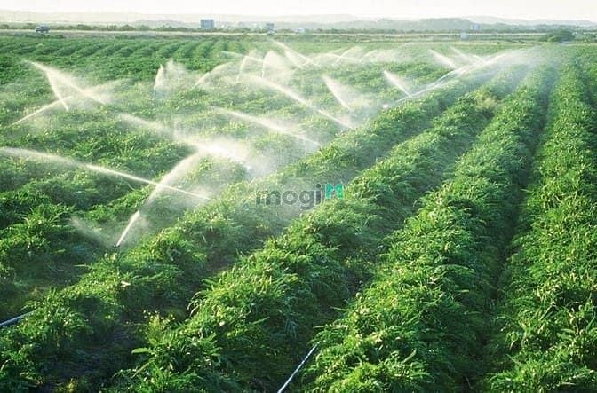 Hình ảnh Đất nghỉ dưỡng tại TP Bảo Lộc, giá rẻ nhất khu vực.