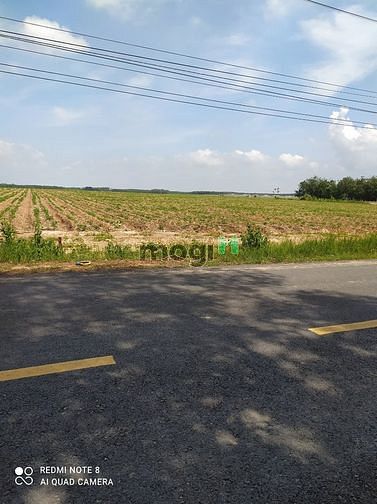 Hình ảnh Đất nền khu đô thị sinh thái ven hồ Dầu Tiếng