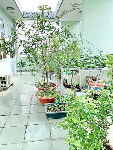 Hình ảnh Nhà 1 lầu 2 căn đôi MT Hẻm Huỳnh Tấn Phát