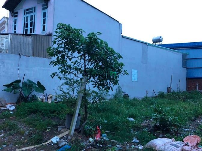Hình ảnh Bán đất mặt đường nhựa thông rộng