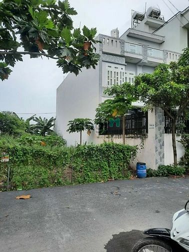 Hình ảnh Dịch Bệnh Kẹt Tiền Cần Bán Lô Đất Chính Chủ Tại Long Điền – TP Bà Rịa