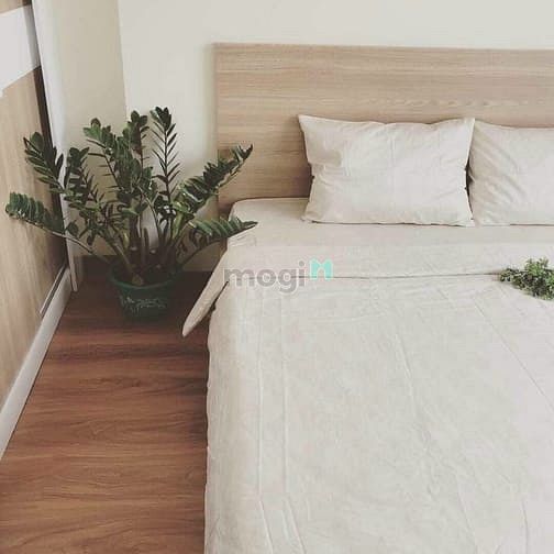 Hình ảnh Cần cho thuê Trang Chủ MB66.COM / Đăng Ký Tặng 66K 85m2 Orchard Parkview