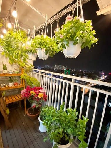 Hình ảnh Cho thuê Trang Chủ MB66.COM / Đăng Ký Tặng 66K Carillon 2 ( Đặng Thành ) Q. Tân Phú, 70m2 2PN ,NT đẹp