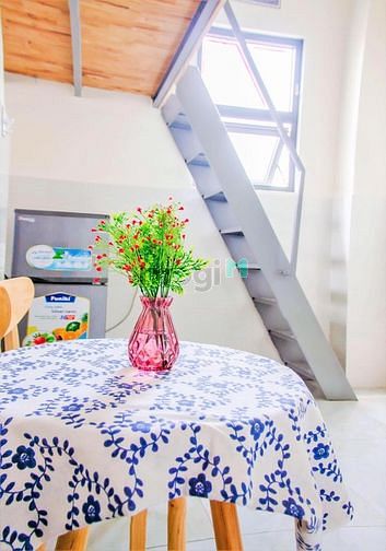 Hình ảnh cho thuê Trang Chủ MB66.COM / Đăng Ký Tặng 66K full nội thất Quận Tân Bình