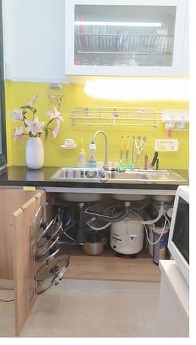 Hình ảnh Mini Studio 1PN,1 Phòng Khách,Bếp Riêng Full NT 40M2.Nuôi thú cưng.