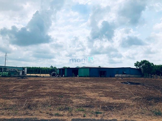 Hình ảnh Đất thổ cư sổ sẵn cần bán gấp giá tốt trong tháng này. Tháng sau tăng