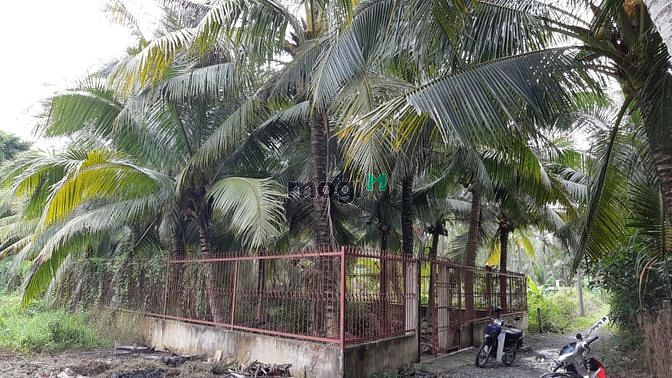 Hình ảnh [GẤP] Bán 524m2 đất nhị bình 2 đường 10m giá tốt