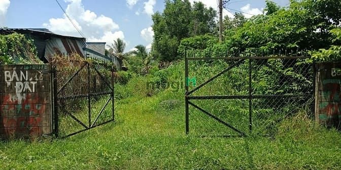 Hình ảnh ĐẤT THỔ KINH DOANH- 2MT TL7 Trung Lập Hạ, Củ Chi,Số sẵn,7x48,GiÁ HỜI