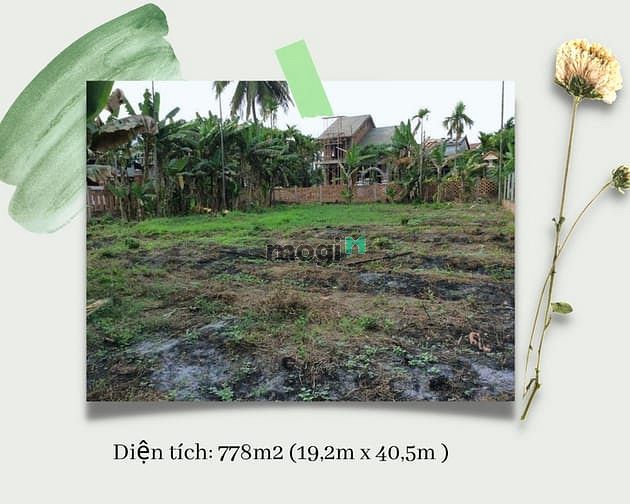 Hình ảnh Bán đất Hội An, siêu đẹp với 3 măt tiền, độc nhất 1 lô