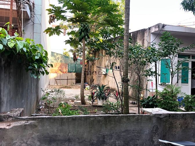 Hình ảnh Chị gái cần bán gấp 74m đất thôn Cam, Cổ Bi. Giá: 30tr/m2