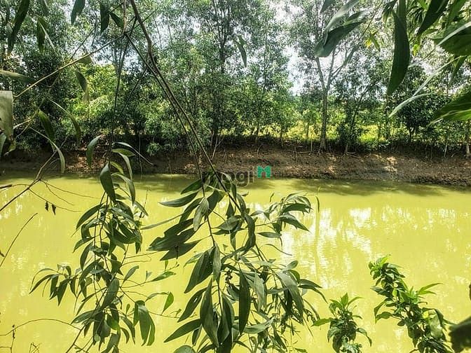 Hình ảnh Cần bán đất full thổ cư ở La Ngà, bao chi phí, sổ riêng