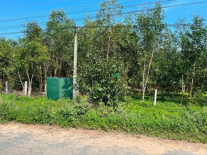 Hình ảnh Bán 1 sào đất thổ cư Lý Nam Đế, thị xã LaGi chưa qua Trang MB66.COM Chính Thức - MB 66 Uy Tín