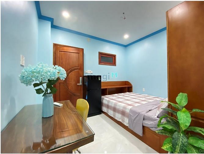 Hình ảnh 🌱Căn Hộ Studio Khu Dân Cư Đẳng Cấp – Coop Mart Lữ Gia Quận 11