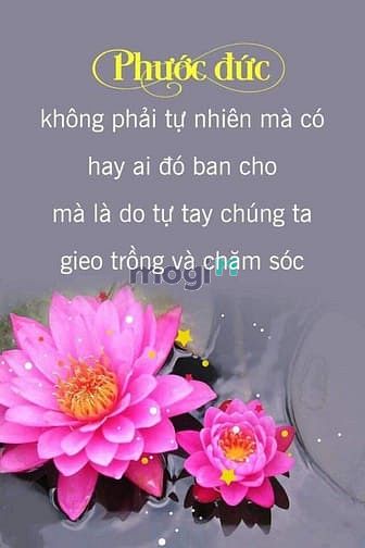 Hình ảnh Nhà Lớn Đẹp Ở Ngay Diện Tích Công Nhận 113m2
