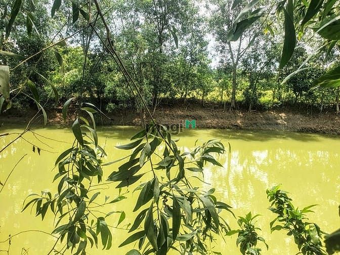 Hình ảnh Bán đất 20x50m, 100m2 thổ cư, Vị trí đẹp ĐQ ĐN