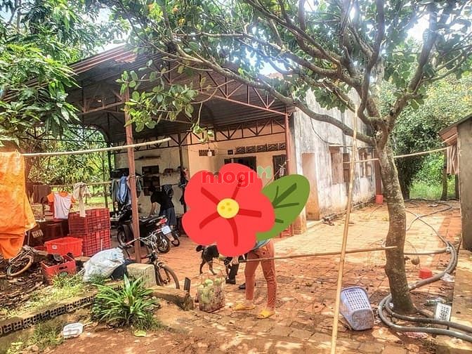 Hình ảnh Bán đất 20x50m, 100m2 thổ cư, Vị trí đẹp ĐQ ĐN
