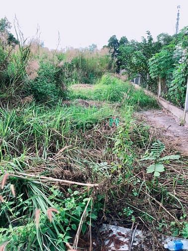 Hình ảnh Bán đất nở hậu, view sông, đối diện KCN Đông Nam xã Bình Mỹ, Củ Chi