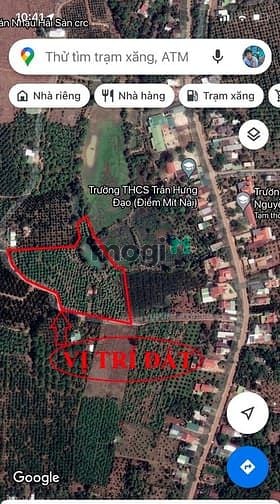 Hình ảnh Bán gấp đất 11.364m2 đất ở Đường 96, La Ngà, Định Quán, Đồng Nai.