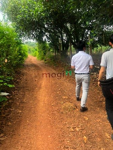 Hình ảnh Bán gấp đất 11.364m2 đất ở Đường 96, La Ngà, Định Quán, Đồng Nai.