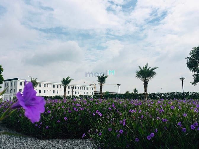 Hình ảnh Nhà Phố The Sol City 75-100m2,SHR.