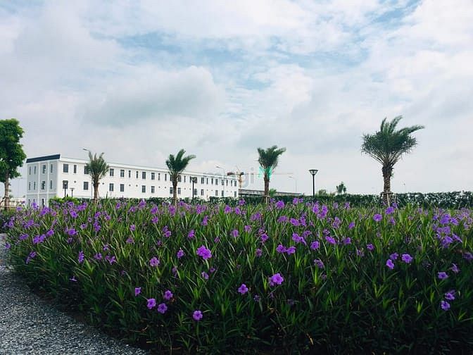 Hình ảnh Nhà Phố The Sol City 75-100m2,SHR.