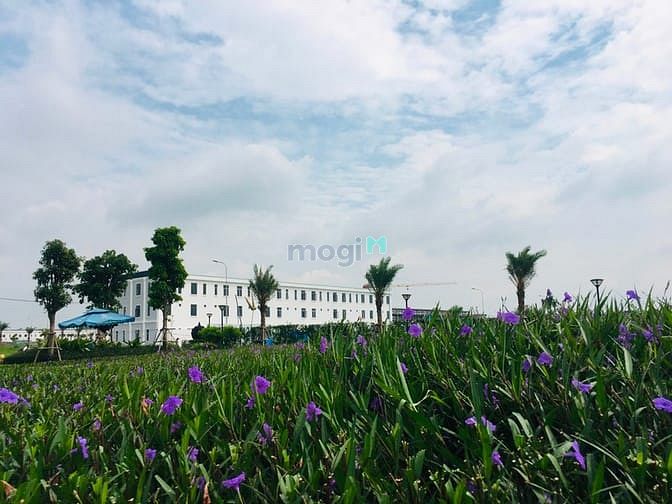 Hình ảnh Nhà Phố The Sol City 75-100m2,SHR.